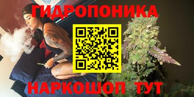 амф Гусев
