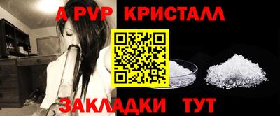 амф Гусев