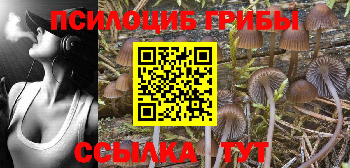 цена   Вход с VPN  Уфа  Псилоцибиновые грибы Psilocybe 
