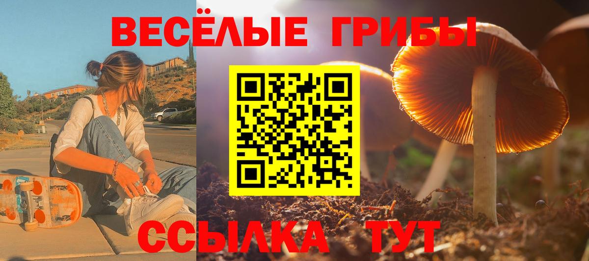 Галлюциногенные грибы Magic Shrooms Уфа