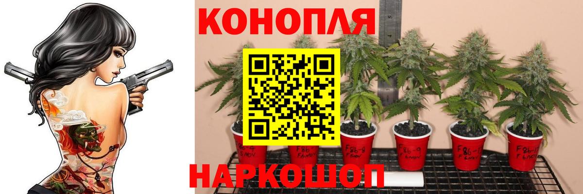 Конопля VHQ  Вход с VPN  Уфа  Каннабис семена  Бошки Шишки VHQ  Каннабис Bruce Banner 